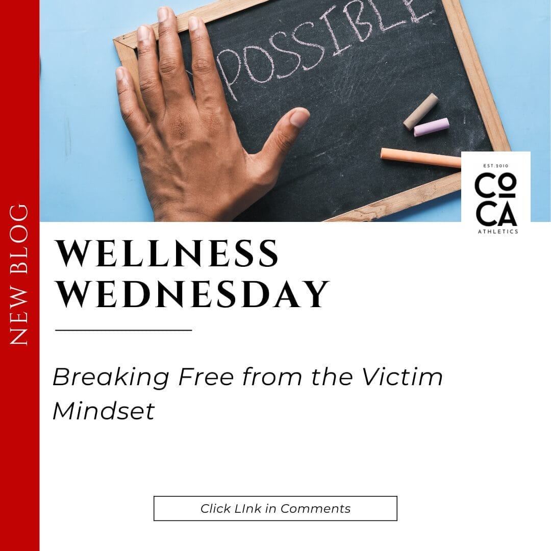 Blog posts-19